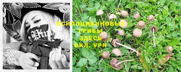 спиды Абинск