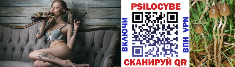 Псилоцибиновые грибы Psilocybine cubensis  купить   Томилино 